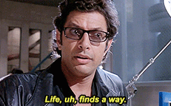 Jeff Goldblume speaking the Jurassic Park tagline